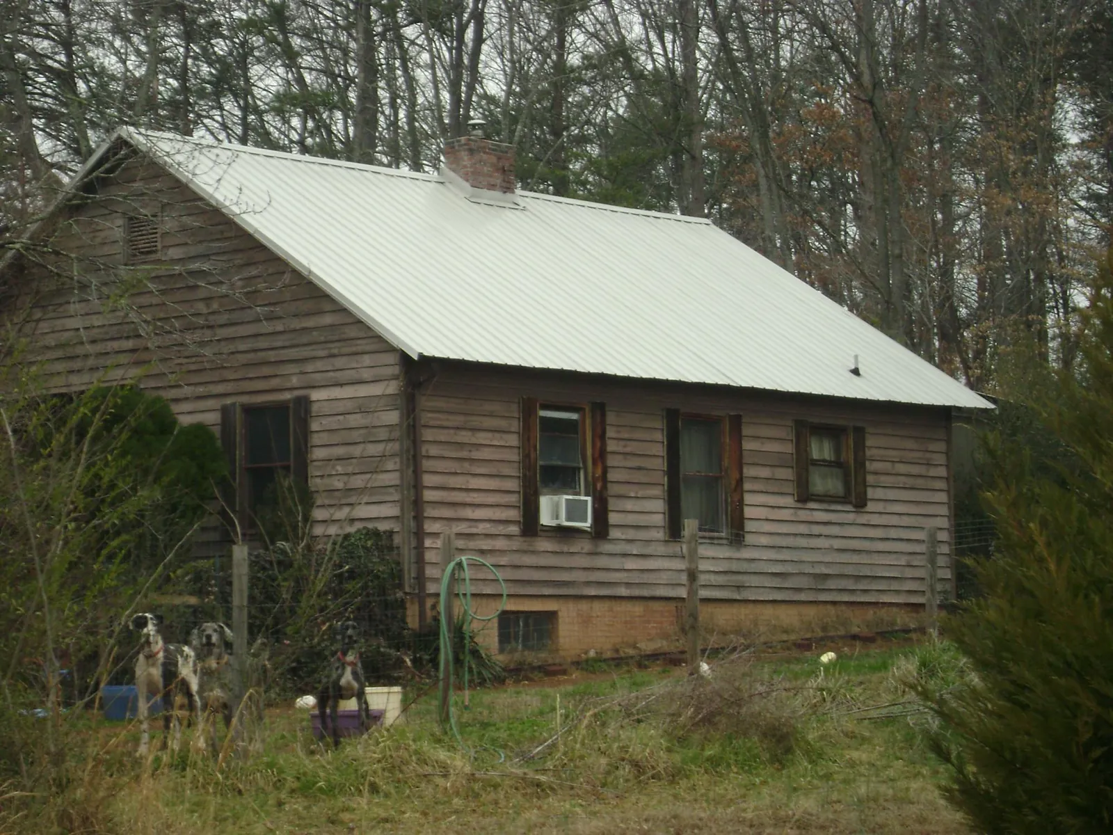 White metal roof on an old wood sided farmhouse, from a Metal Roof Installation job in Kittredge